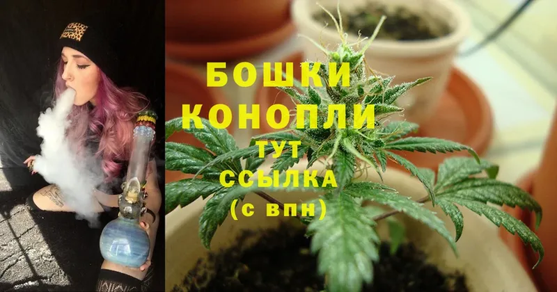 Конопля White Widow  Искитим 